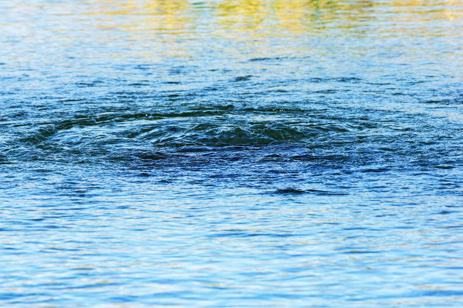 Artesian well water bubbles up in a pond setting